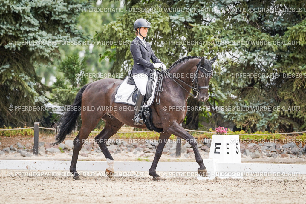 DSC02942 | Pferdegrafie