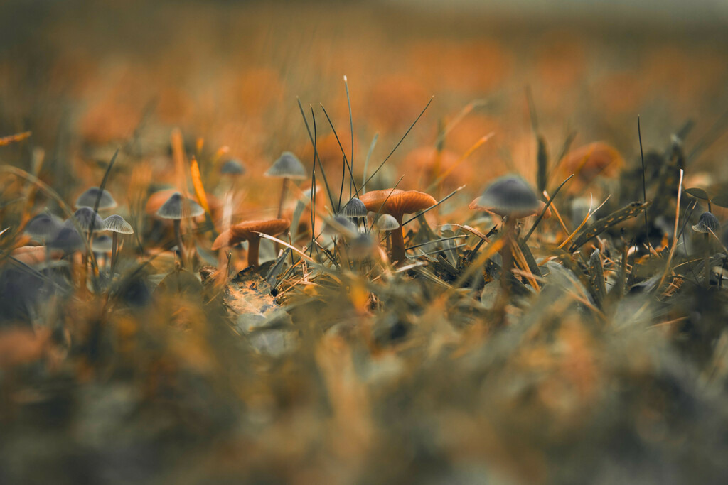 DSC03280-lightroom-2 | Fotografie, Dresden, Marcus Wagner, Landschaftsfotografie, Tierfotografie, Architekturfotografie - Realisiert mit Pictrs.com