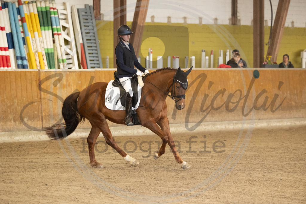 994A8419 | sabrinanicolaifotografie - Realisiert mit Pictrs.com