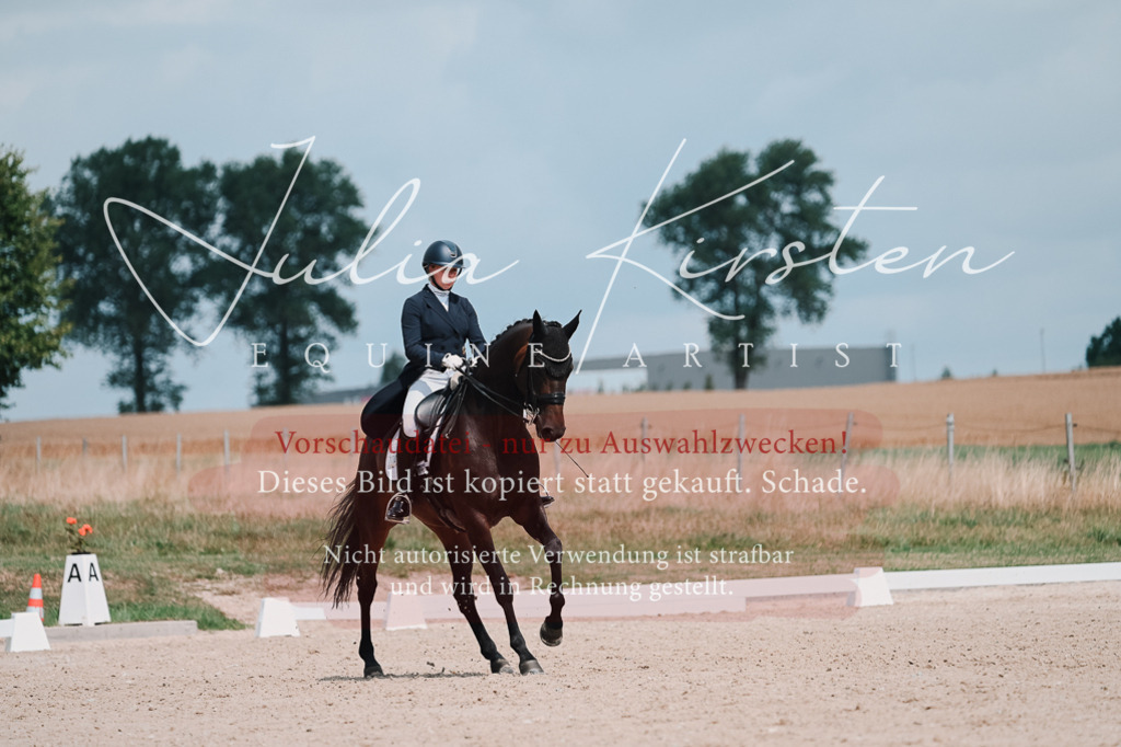 DSC_4316-2 | Pferde- und Turnierfotografie in Westsachsen. Pferdeportraits, Auftragszeichnungen und intuitive Kunst.