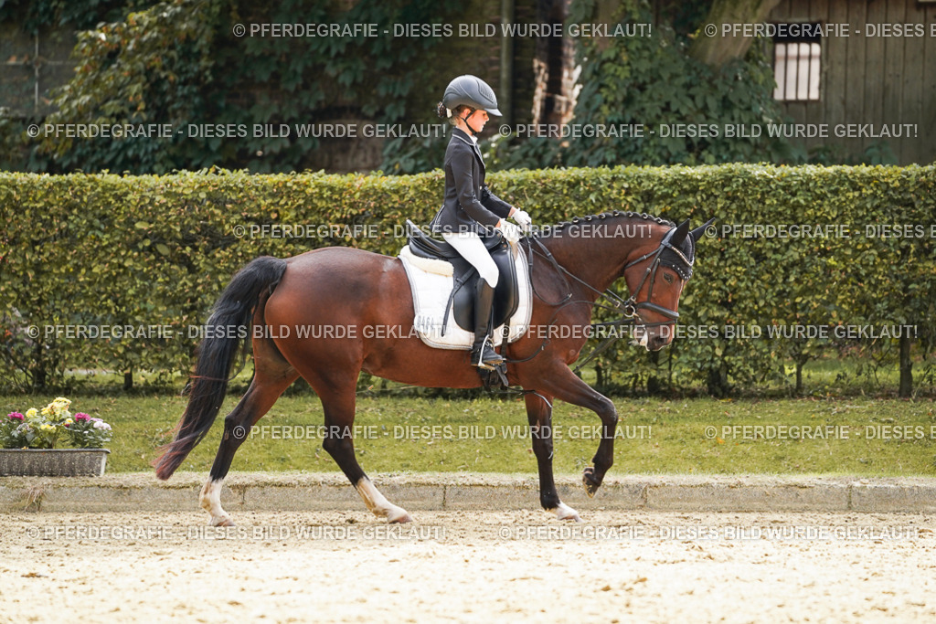 DSC01354 | Pferdegrafie