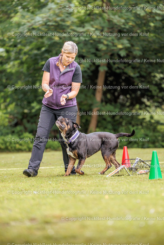 RO-Blumenthal-2026-Nickbest-Hundefotografie-1705 | Dein Hund! Dein Moment! Deine Erinnerungen! Hundefotografie in Bremen Blumenthal. Ich fange die besonderen Momente deines Vierbeiners ein – ob Indoor mit Blitzanlage oder in der freien Natur. Sicher dir dein Moment und dein Termin für eure Erinnerungen.