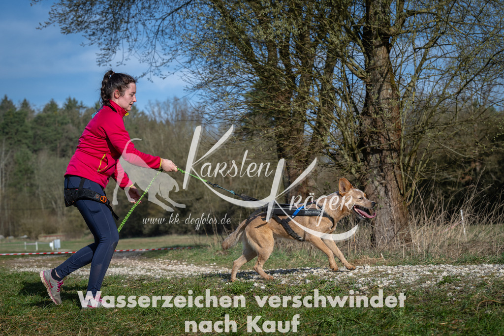 0906_ZZ91180 | kk-dogfotos