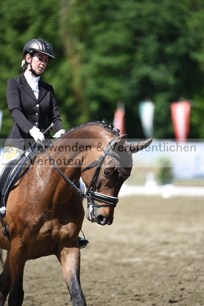 DSC_0386 | equestrian-live-com