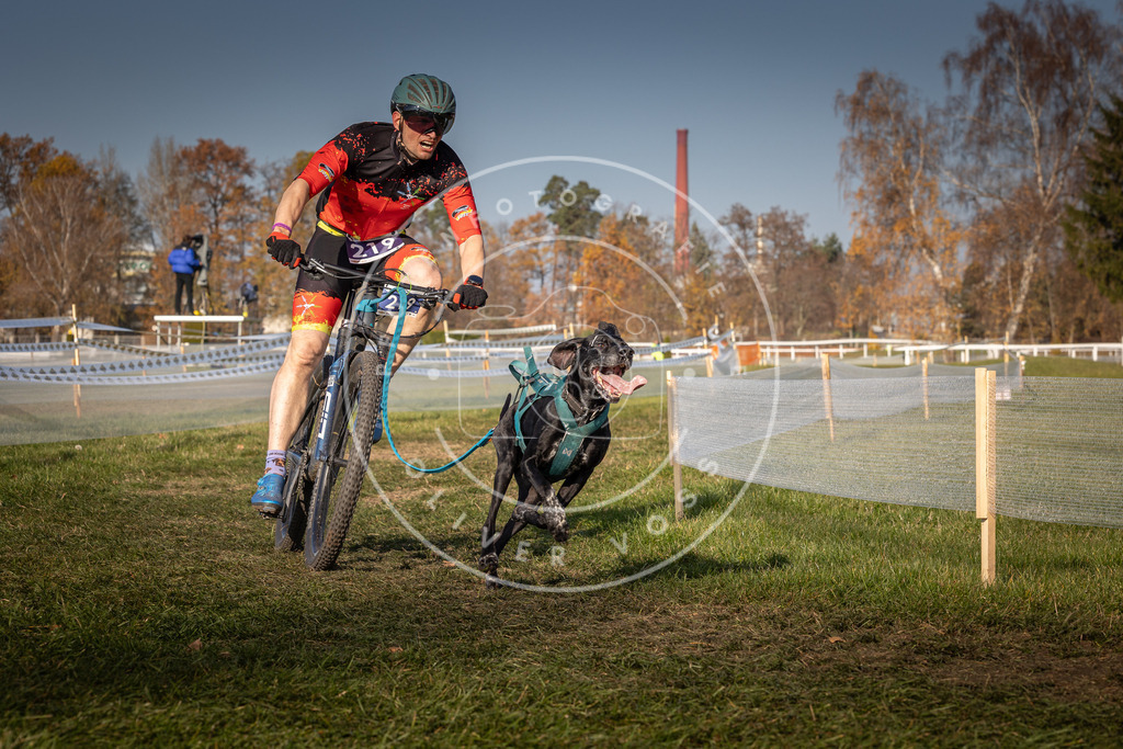 CaniXpix_0L8A6986 | Hundefotografie, Tierfotograf, Pfotenfotografie, Fotoshooting Hund, Hunde Portrait, Hundesport, Hundeportraits, Heideshooting, Hunde, Sportfotograf, Hundefotograf, Turnierhundsport, THS,  - Realisiert mit Pictrs.com
