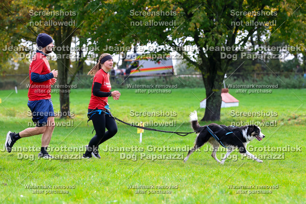 Dog Paparazzi -  SD1026-2206 | Dog Paparazzi Jeanette Grottendiek Fotografie & Videografie - Realisiert mit Pictrs.com