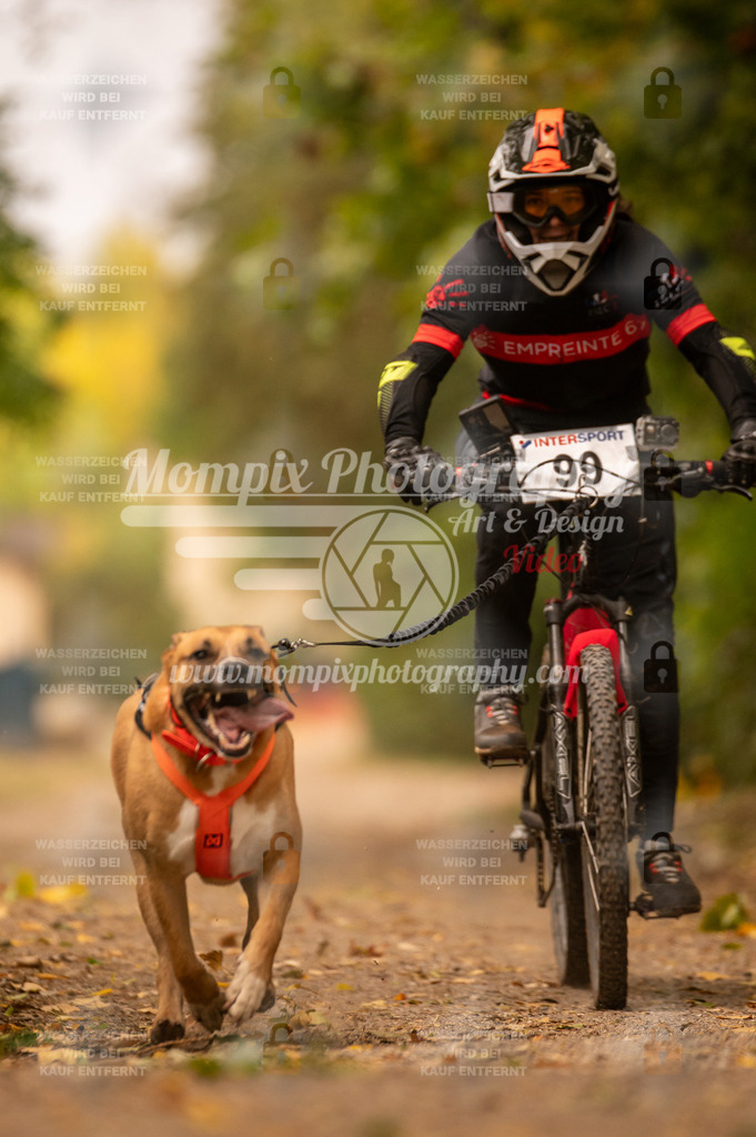 CDLBDB_14_10_2023_Samedi-148 | PayLife