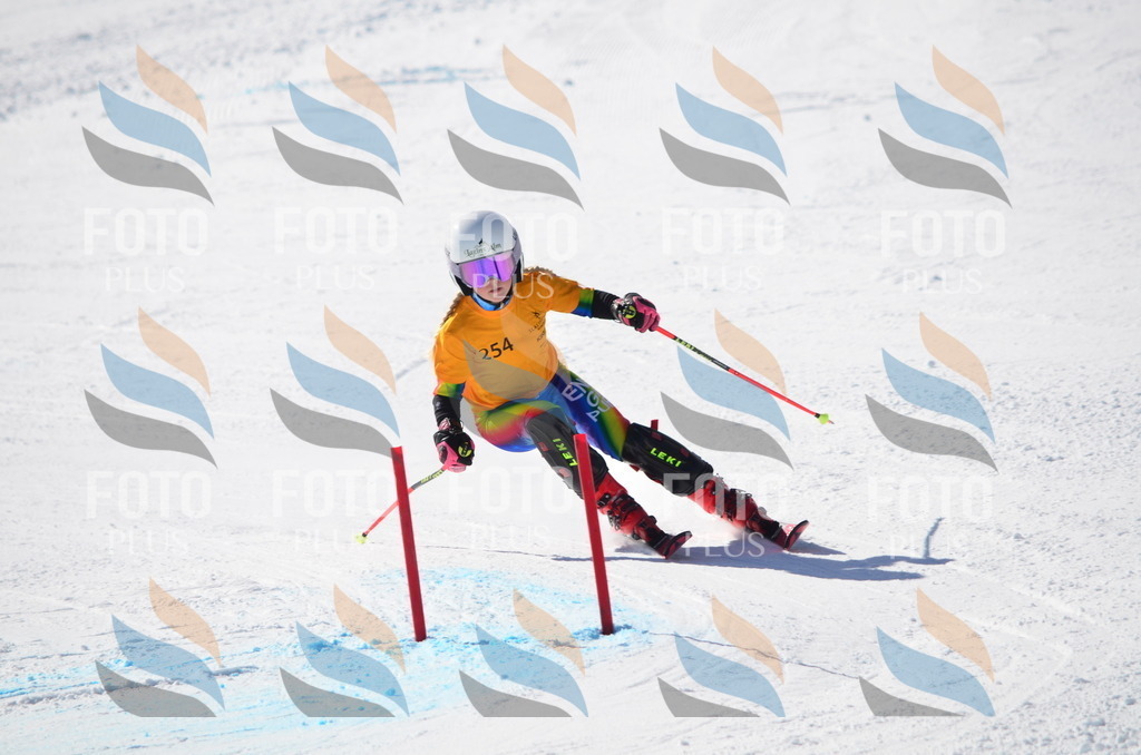 C8460 | holidayphoto