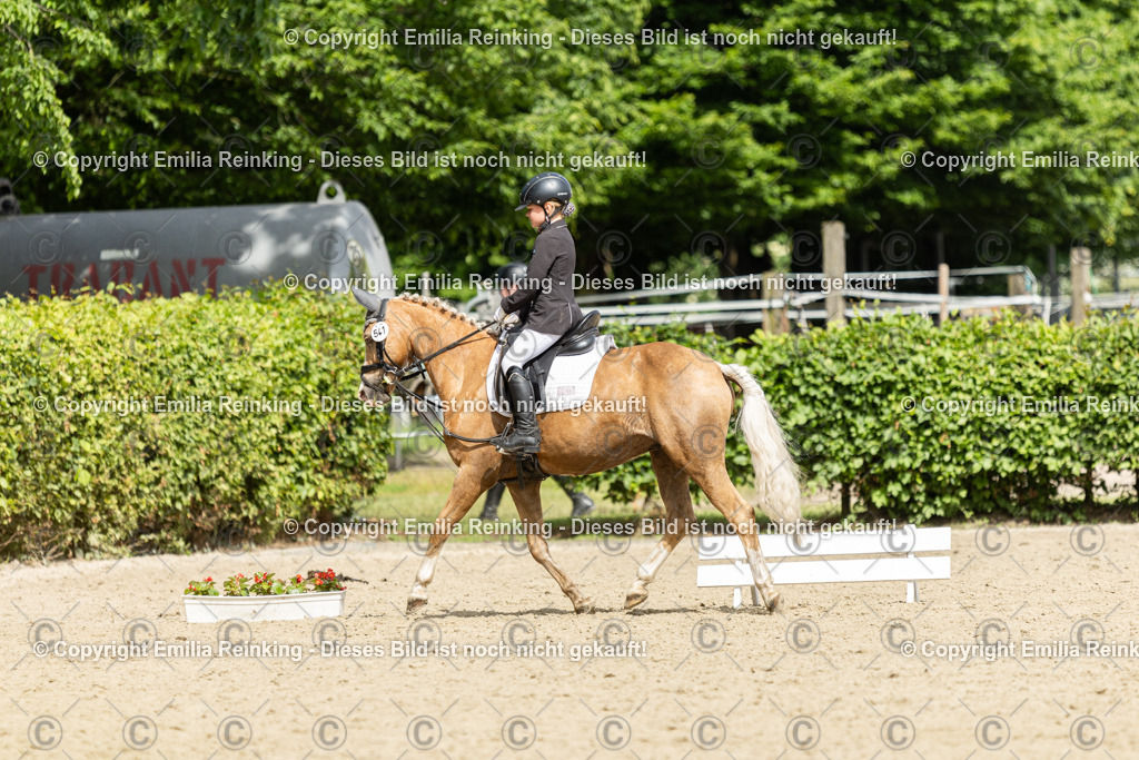 CL5A1405 | Emilia Reinking Fotografie - Realisiert mit Pictrs.com