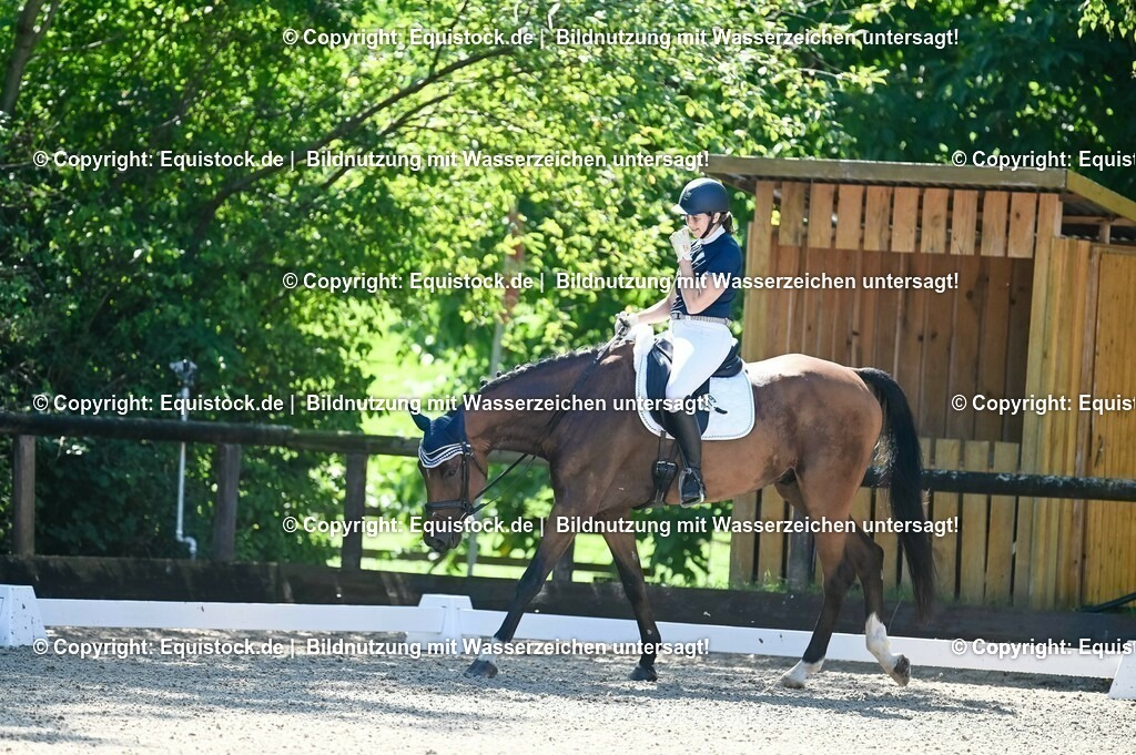 20230908_06_Dressur-L-Trense_0237 | equistock