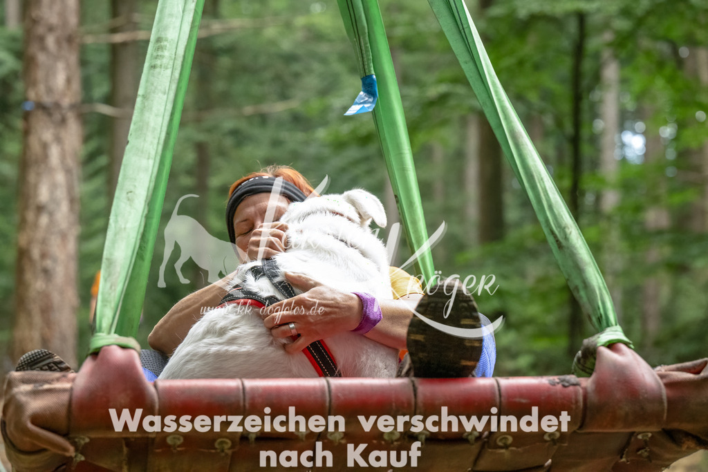 1149_ZZ90695-Bearbeitet | kk-dogfotos