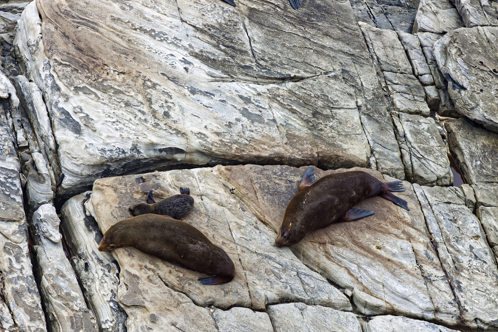 1H5A6204 | ansichtssache