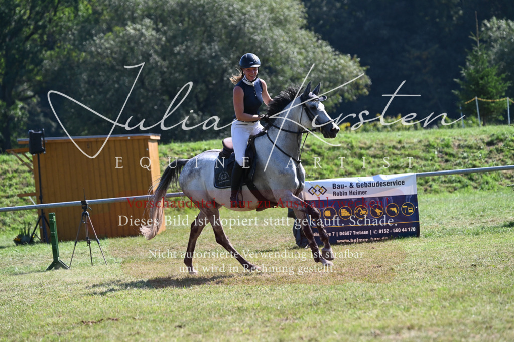 DSC_6502 | Pferde- und Turnierfotografie in Westsachsen. Pferdeportraits, Auftragszeichnungen und intuitive Kunst.