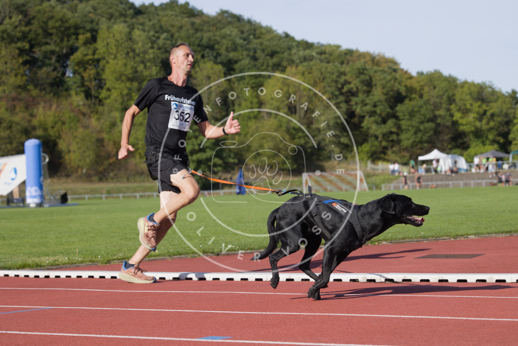0L8A9938 | Hundefotografie, Tierfotograf, Pfotenfotografie, Fotoshooting Hund, Hunde Portrait, Hundesport, Hundeportraits, Heideshooting, Hunde, Sportfotograf, Hundefotograf, Turnierhundsport, THS,  - Realisiert mit Pictrs.com