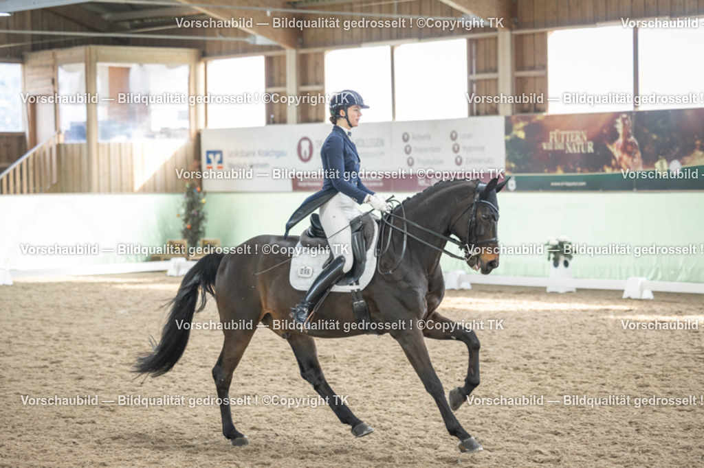 _D5A6557 | Emotionale Pferde- & People-Fotografie rund um Heidelberg, Leimen & Umgebung. Natürliche Fotos von Pferd, Mensch & Familie. Jetzt Termin sichern!