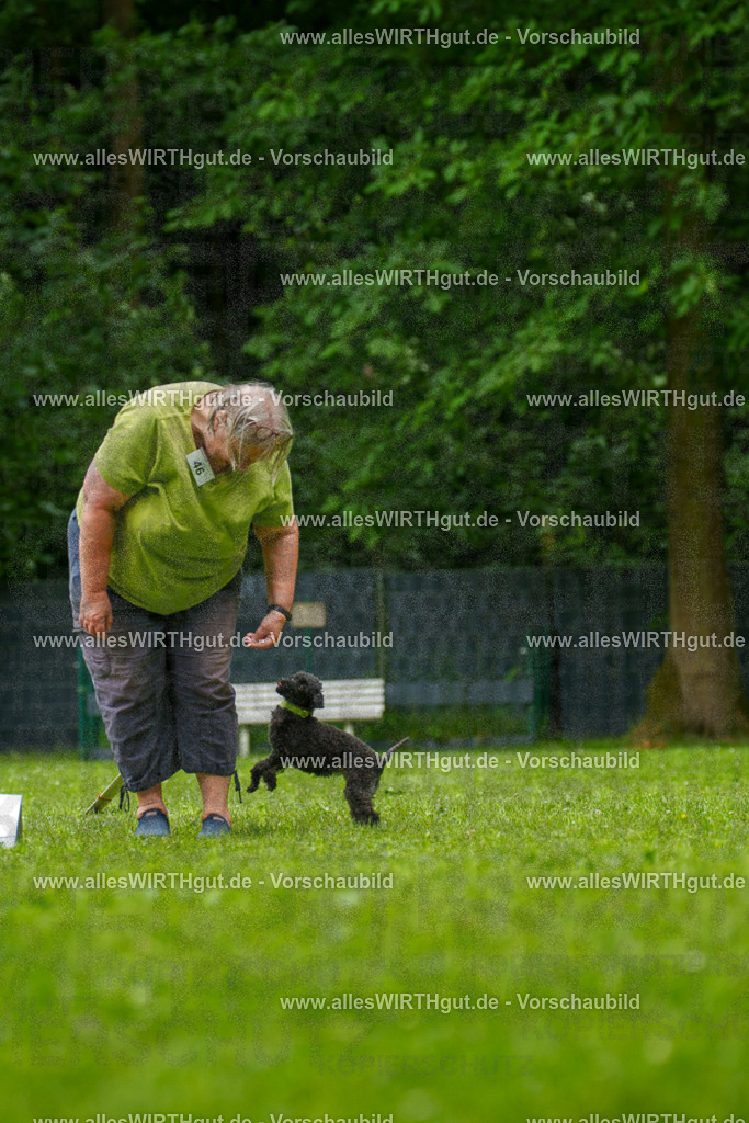 @allesWIRTHgut_Tierfotografie - www.allesWIRTHgut.de - 7R500403 | Professionelle Tierfotografie in Mönchengladbach von Daniel Wirth (allesWIRTHgut). Liebevolle & natürliche Bilder von Hunden & Katzen für unvergessliche Erinnerungen.