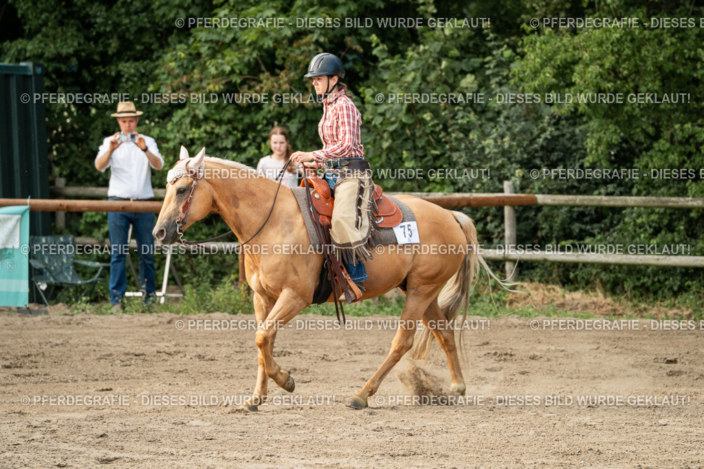 DSC06092 | Pferdegrafie