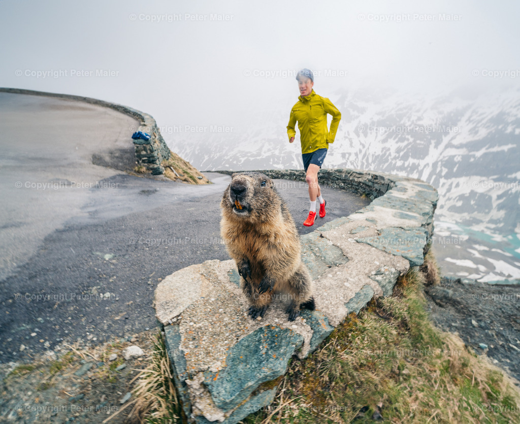 Pre_Grossglockner_Mountain_Run__Peter Maier-1101-Bearbeitet | piet_flosse