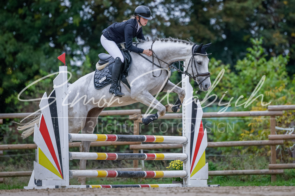 20251012-_3LI3181 | Tierfotografie Pferde, Hunde, Katzen, Haustiere.
Turnierfotografie Reitturniere, Reiten, Springreiten, Dressur in Hanau, dem Main-Kinzig-Kreis und dem Rhein-Main- Gebiet um Frankfurt