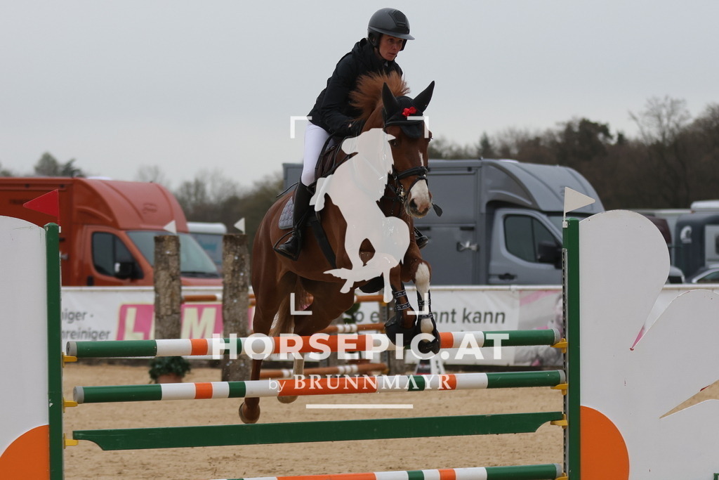 0P6A6645 | Willkommen bei Brunnmayr - Design & Fotografie – Ihrem Spezialisten für Reitturniere und Pferdeveranstaltungen in Oberösterreich, Salzburg und Bayern! Seit über 17 Jahren sind wir leidenschaftlich dabei.
