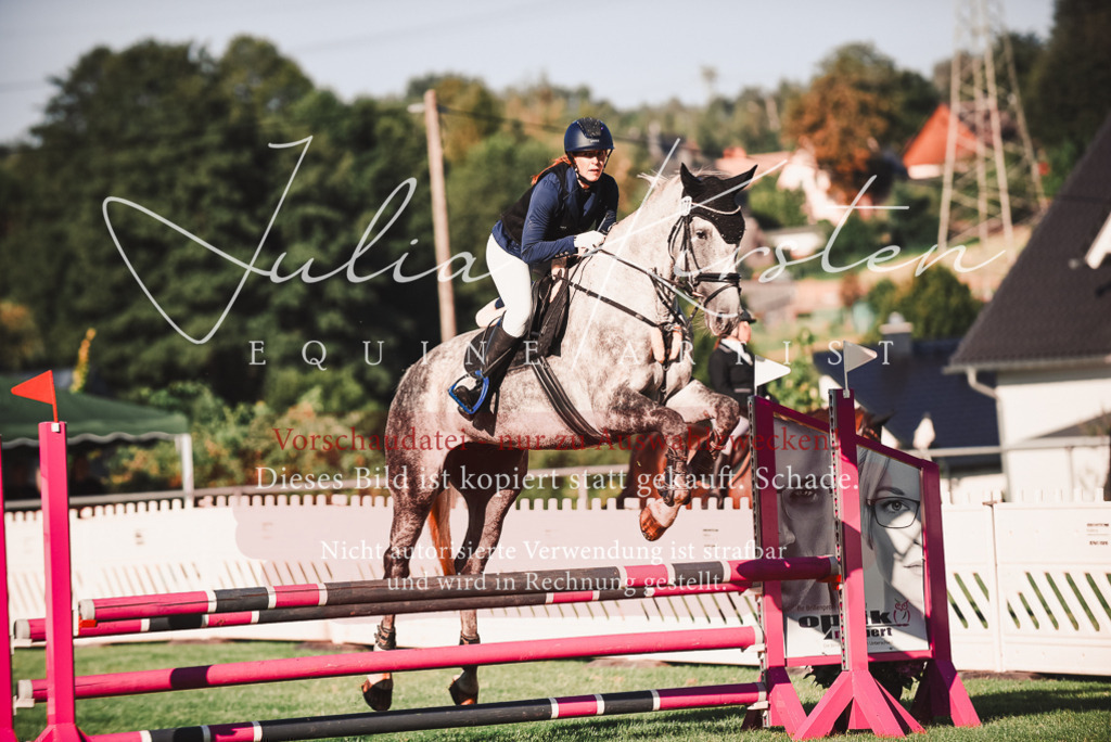 DSC_2155 | Pferde- und Turnierfotografie in Westsachsen. Pferdeportraits, Auftragszeichnungen und intuitive Kunst.