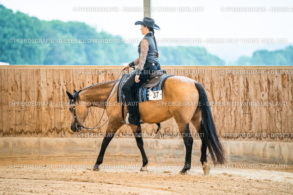 DSC09911 | Pferdegrafie