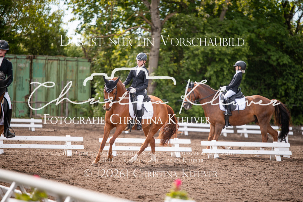 DSC_0734 | Christina-Kleuver