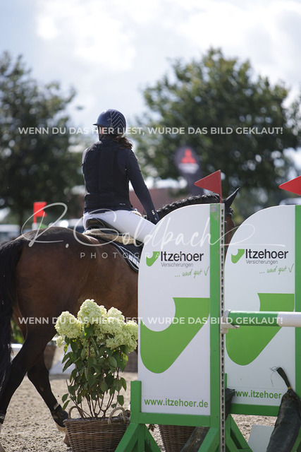 1J2A7050Nike Bohrer_ Steendieks Calvin_ Kn1041_ Havekost | Foto- und Videografie für alles rund ums Pferd. Hochwertige Bilder und Videos vom Spring- und Dressurreiten, Voltigieren & mehr. Jetzt aktuelle Veranstaltungen und Preise im Shop ansehen. - Realisiert mit Pictrs.com