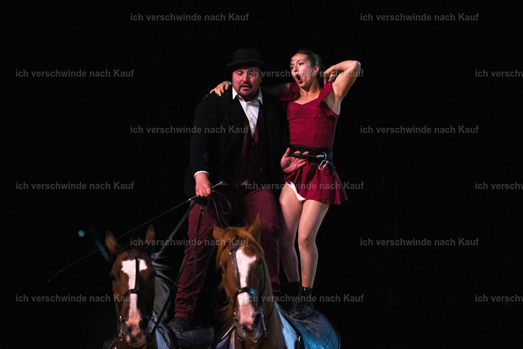 Gala-30 | working equitationturnier fotograf videograf stoibphotography marixx film working equitation deutschland reitsport turnierfotografie eventfotografie equestrian events