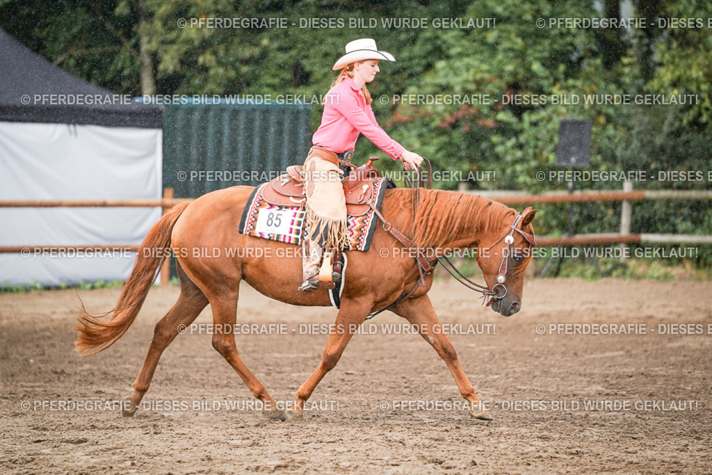 DSC07905 | Pferdegrafie