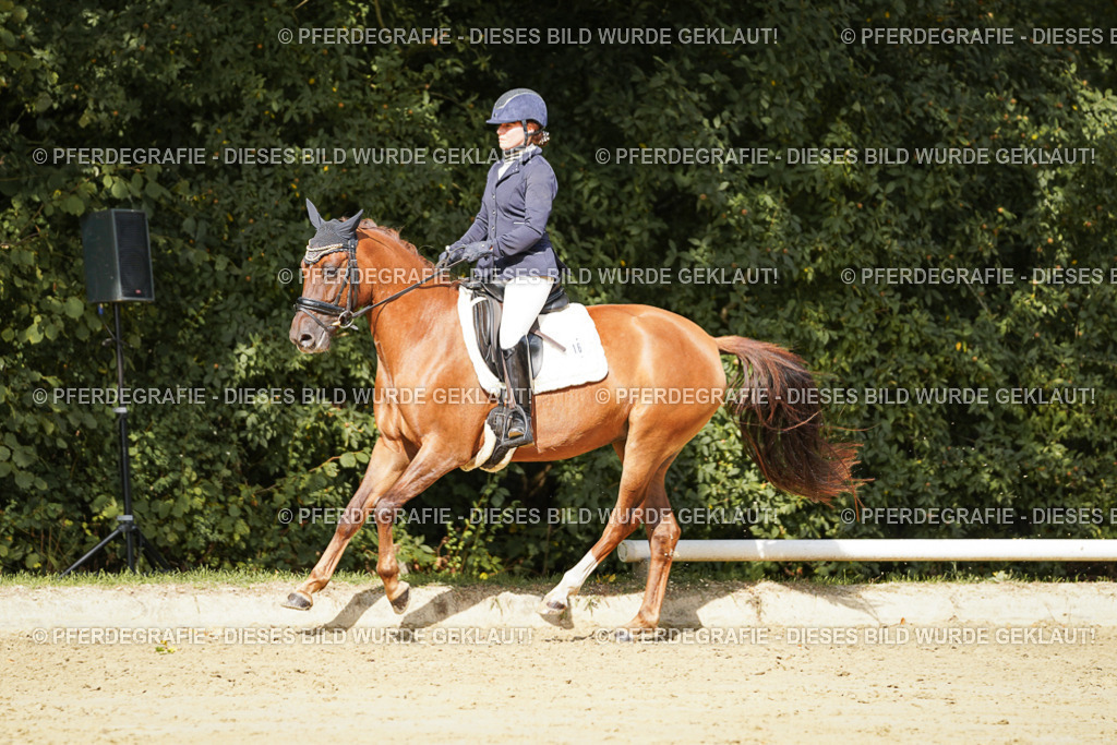 DSC02412 | Pferdegrafie