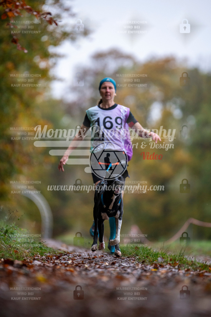 DBT_DAKM_SA_4_11_2023_Canicross-101 | PayLife
