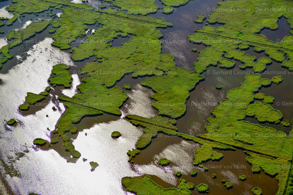 3637383 | Spreewald Unesco-Biosphärenreservat, LüBBEN (SPREEWALD) 25.08.2016 Feuchtgebiet bei Lübben (Spreewald) im Bundesland Brandenburg. // Wet area near Luebben (Spreewald) in the state Brandenburg. Foto: Gerhard Launer
