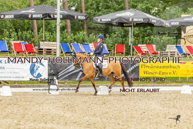 DRE Pony A (29) | mandyhollmannphotographie