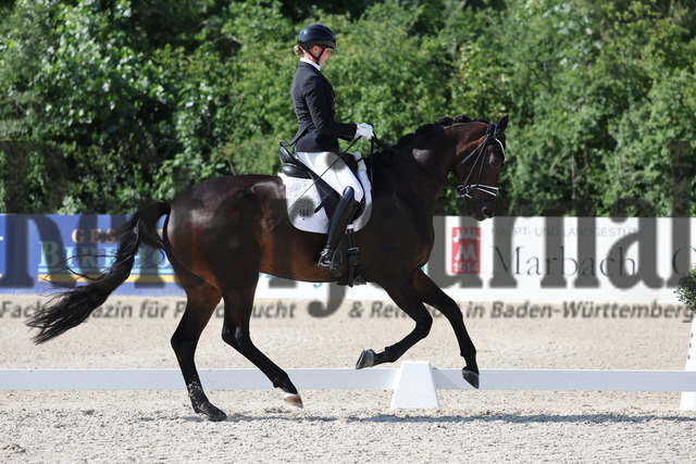 Weilheim_2025_Prfg.Nr.24_Reitpferdeprüfung_Ines Fleischmann_Tjara 17 (9) | Alle Fotos der Reiterjournal Fotografin Doris Matthaes im Reiterjournal Online-Fotoshop. - Realisiert mit Pictrs.com