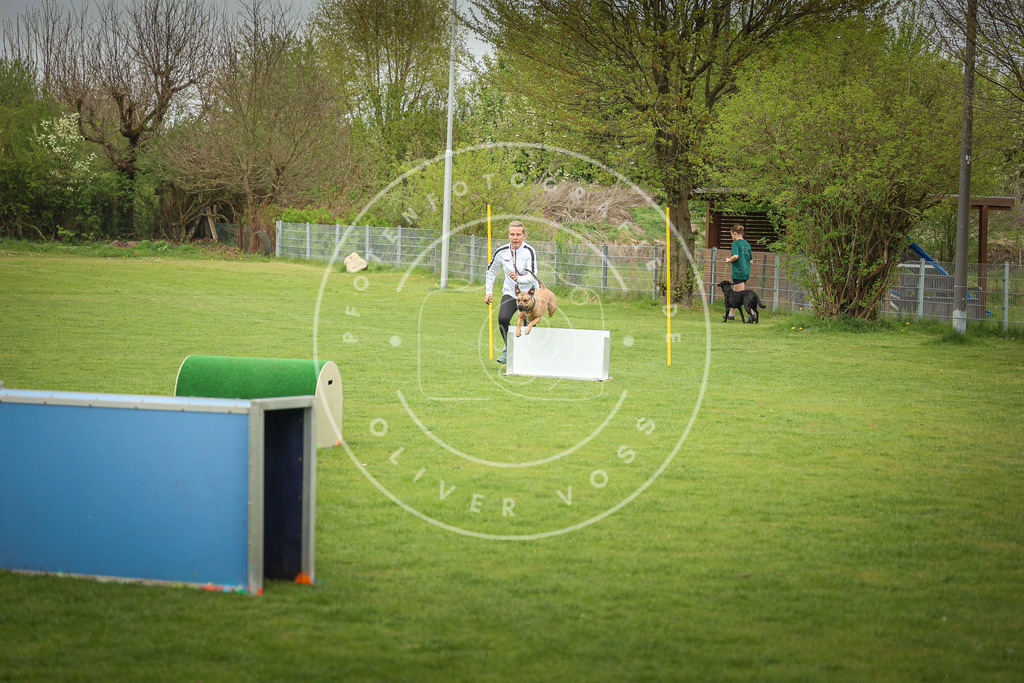Pfotenfotografie_0L8A9769 | Hundefotografie, Tierfotograf, Pfotenfotografie, Fotoshooting Hund, Hunde Portrait, Hundesport, Hundeportraits, Heideshooting, Hunde, Sportfotograf, Hundefotograf, Turnierhundsport, THS,  - Realisiert mit Pictrs.com