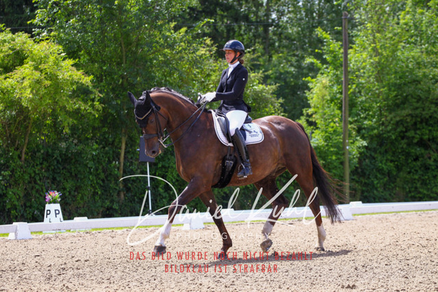 DKP40944 | Turnierfotos kaufen im Webshop von Daniel Kuhl Photography – entdecke professionelle Reitsportfotos aus Turnieren & Events. Hochwertige Turnierbilder online bestellen & sichern. Jetzt Fotos von Reitsportturnieren kaufen!