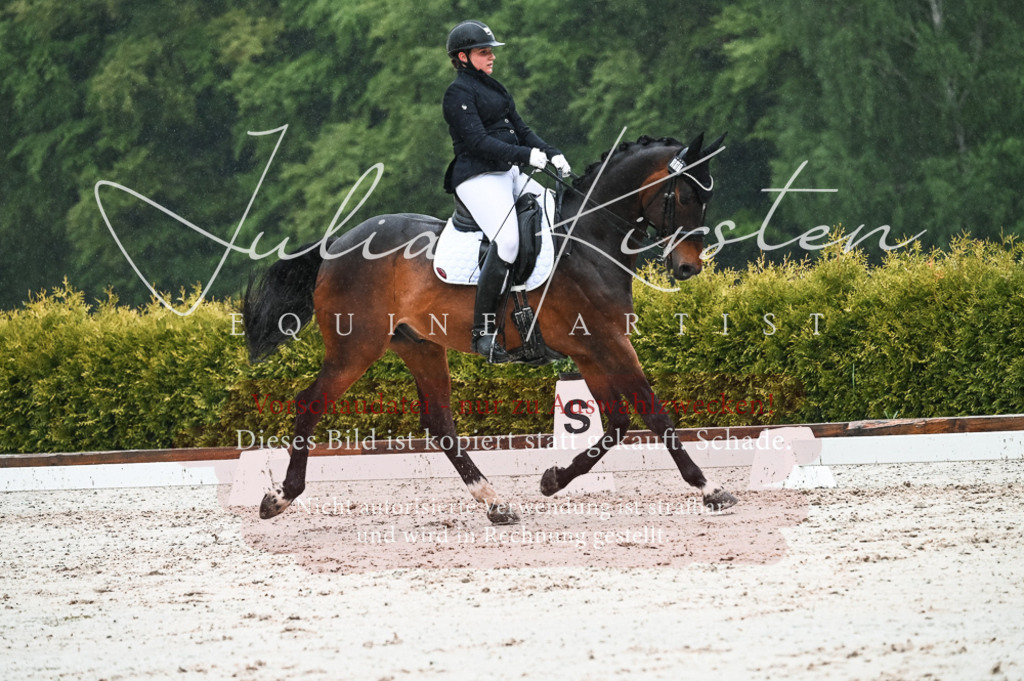 DSC_4536 | Pferde- und Turnierfotografie in Westsachsen. Pferdeportraits, Auftragszeichnungen und intuitive Kunst.