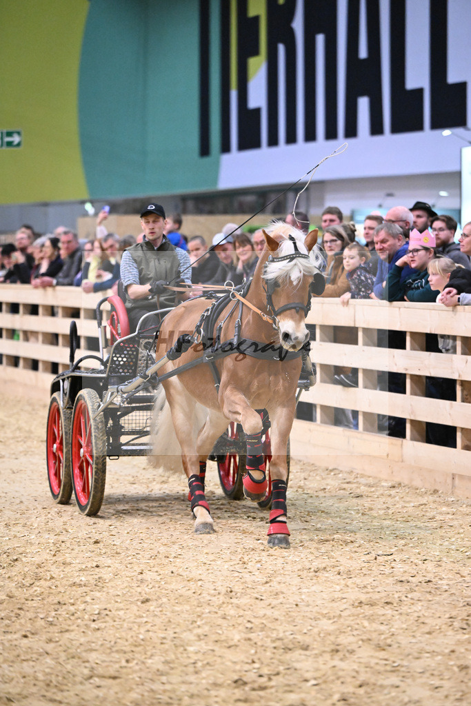 Schauprogramm_Umara_1260843 | hf-fotografie - Realisiert mit Pictrs.com