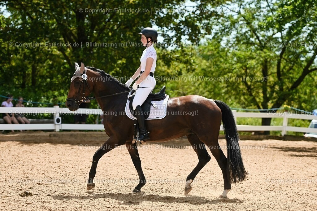 20230715_09_Dressur-WB_0254 | equistock