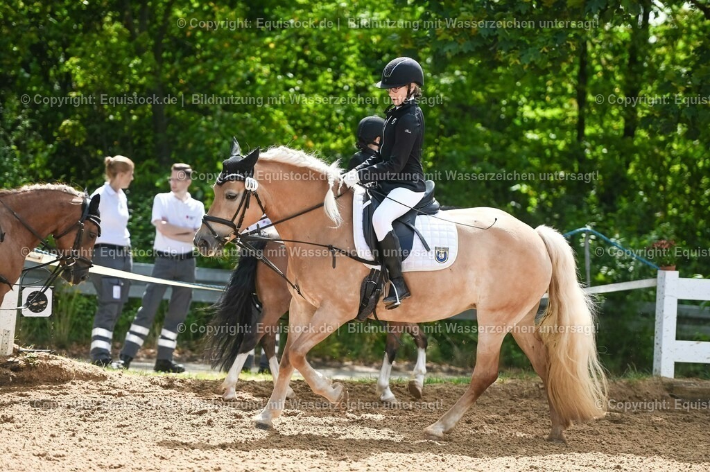 20230716_10-3_Reiter-WB Schritt - Trab - Galopp_0090 | equistock