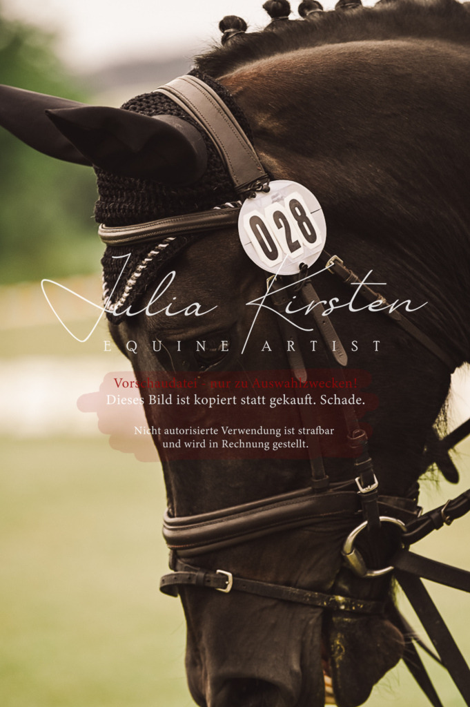 DSC_4941 | Pferde- und Turnierfotografie in Westsachsen. Pferdeportraits, Auftragszeichnungen und intuitive Kunst.