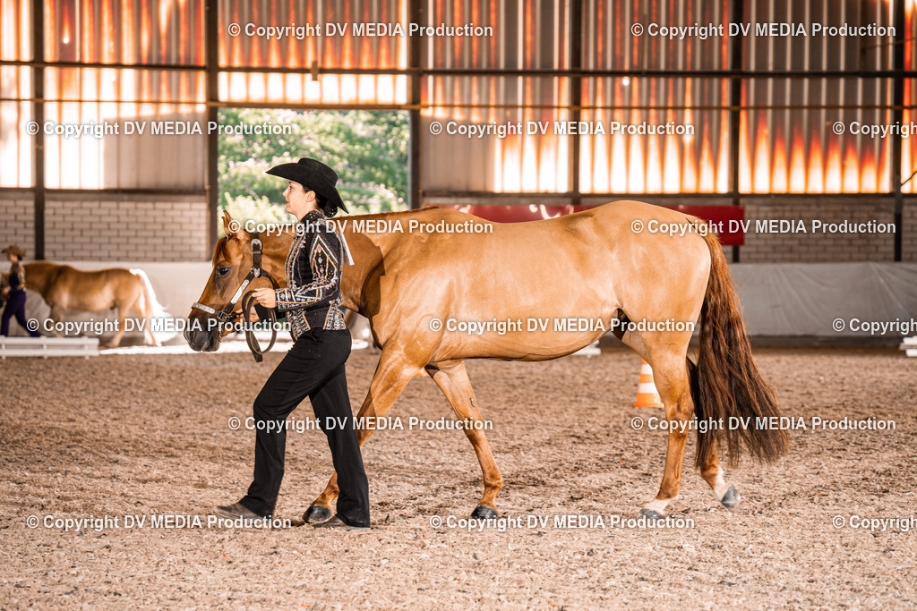 ZH100144 | dv-media-shop - Realisiert mit Pictrs.com