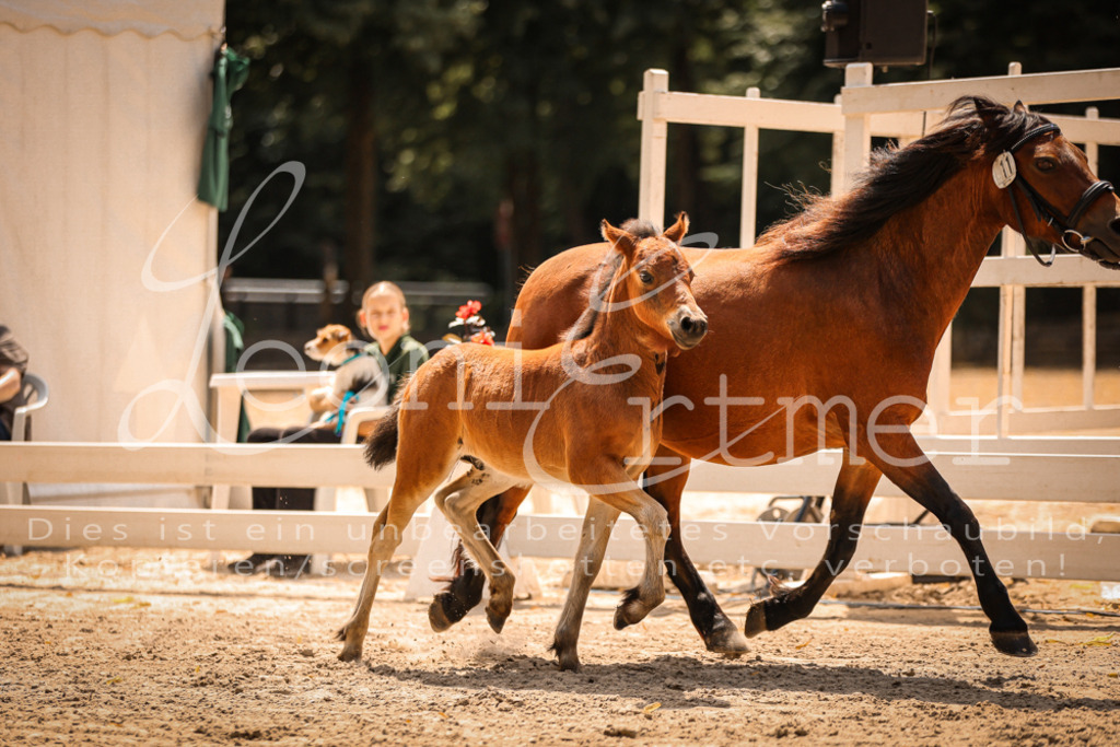 02.DoSR00141 | Leoni Ertmer Photography - Realisiert mit Pictrs.com