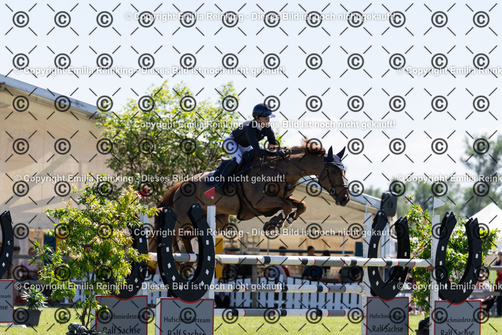 CL5A1150 | Emilia Reinking Fotografie - Realisiert mit Pictrs.com