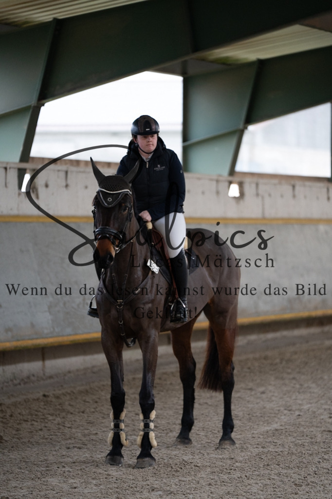 A7V03595 | Pferdefotograf