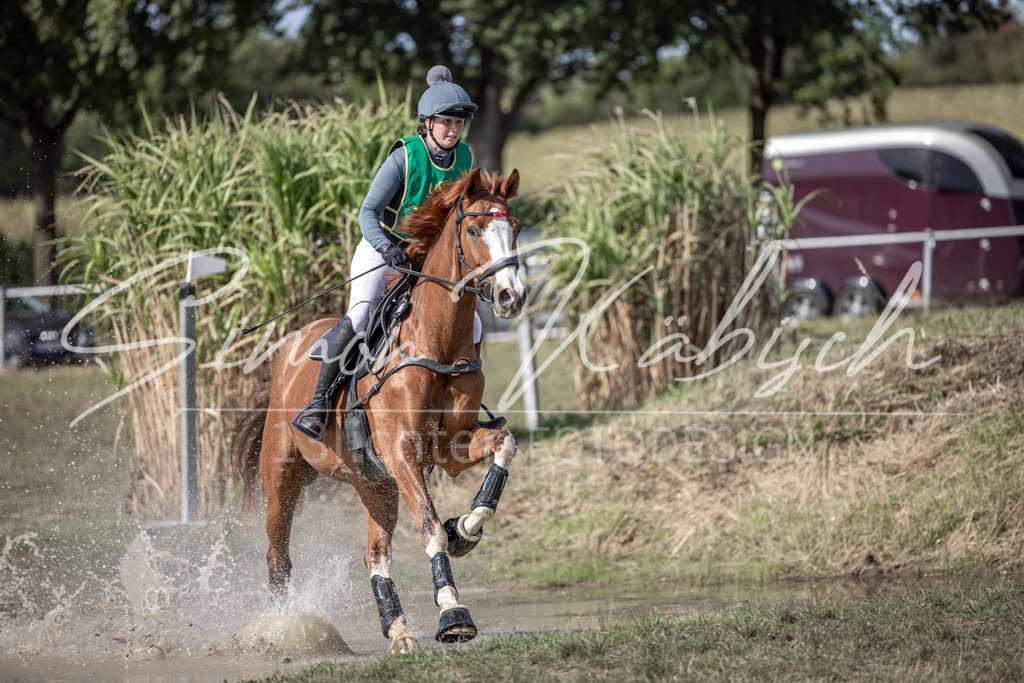 20250907-_3LI1824 | Tierfotografie Pferde, Hunde, Katzen, Haustiere.
Turnierfotografie Reitturniere, Reiten, Springreiten, Dressur in Hanau, dem Main-Kinzig-Kreis und dem Rhein-Main- Gebiet um Frankfurt