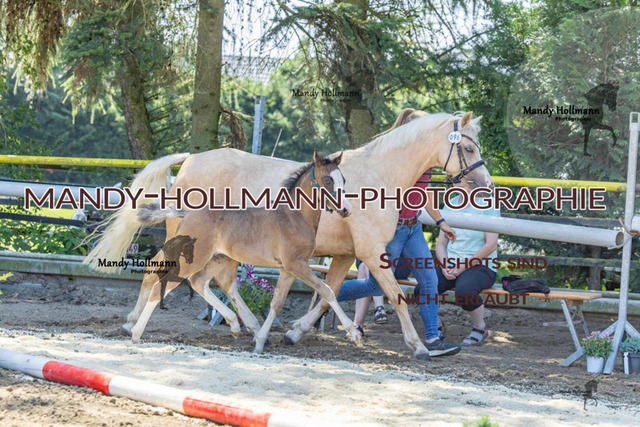 _MG_4979 | mandyhollmannphotographie