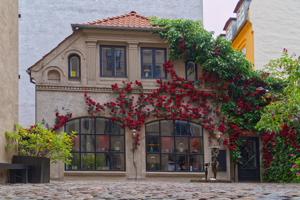 IMG_2919a | ansichtssache