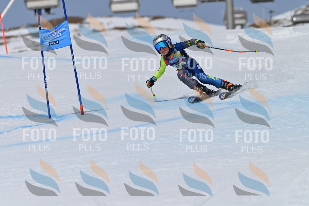 BGV_6141 | holidayphoto